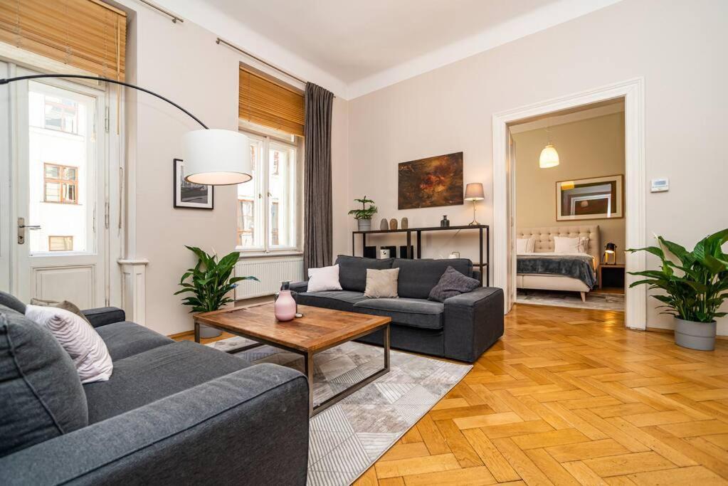 Large And Modern In The Heart Of Appartement Praag